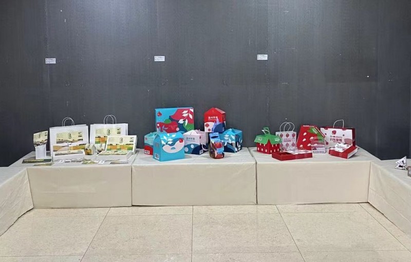 2、设计与艺术系举办项目教学包成果作品展 (4)